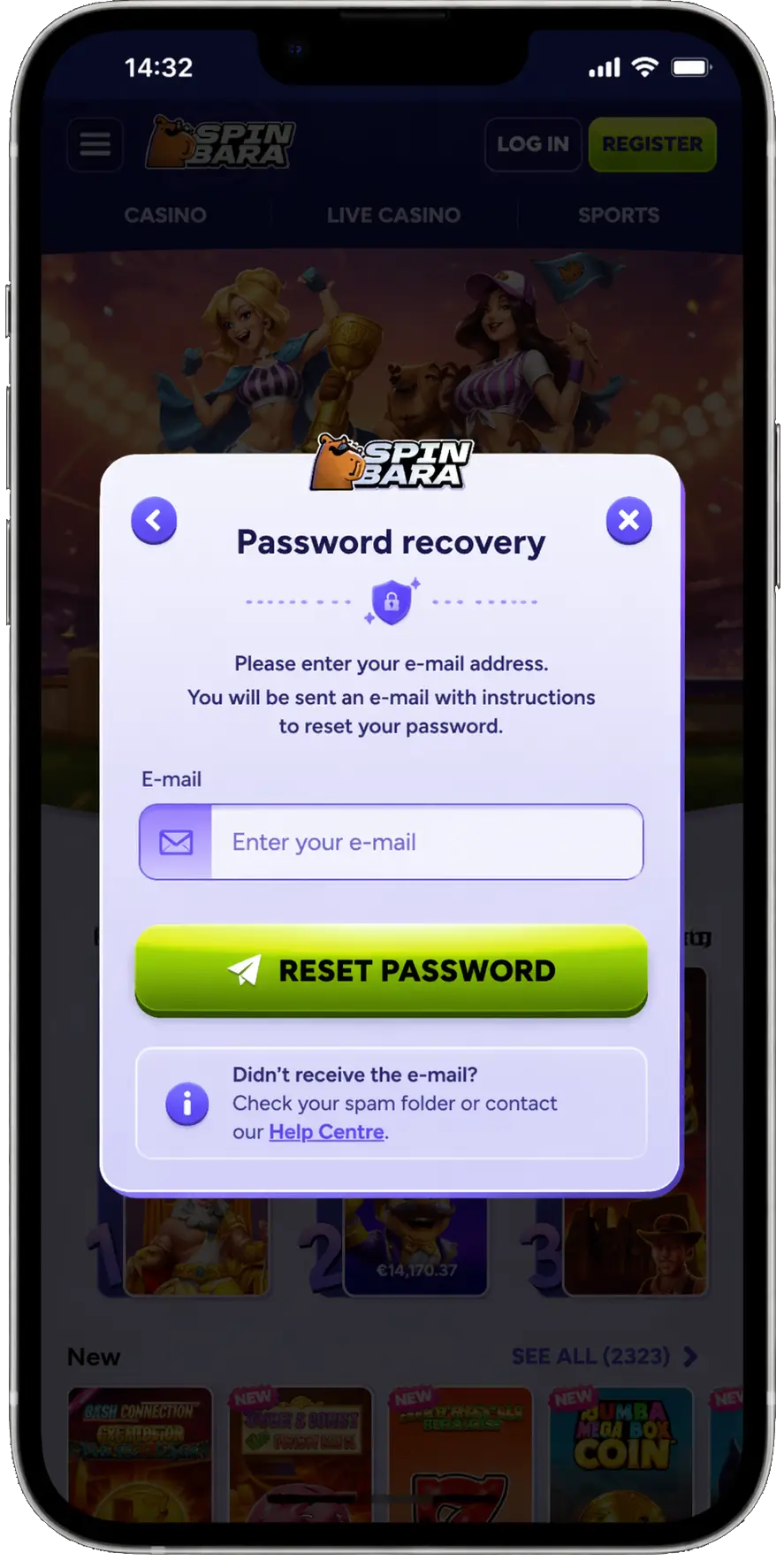 SpinBara password reset page for account recovery